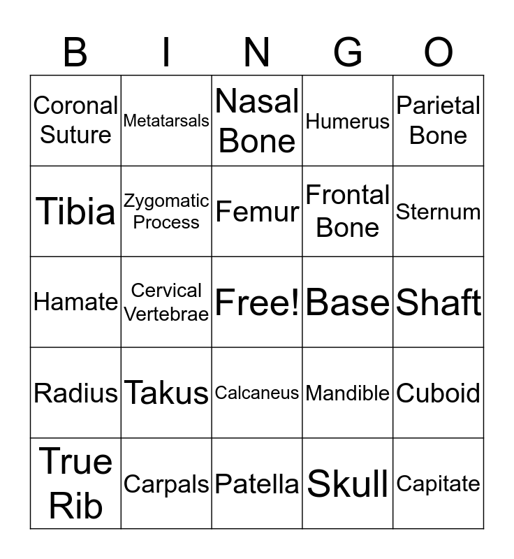 Skeletal System Bing Bingo Card