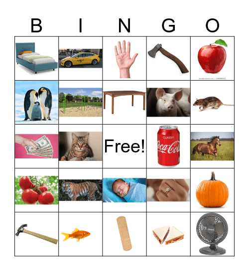 Beginning Sounds Bingo Card