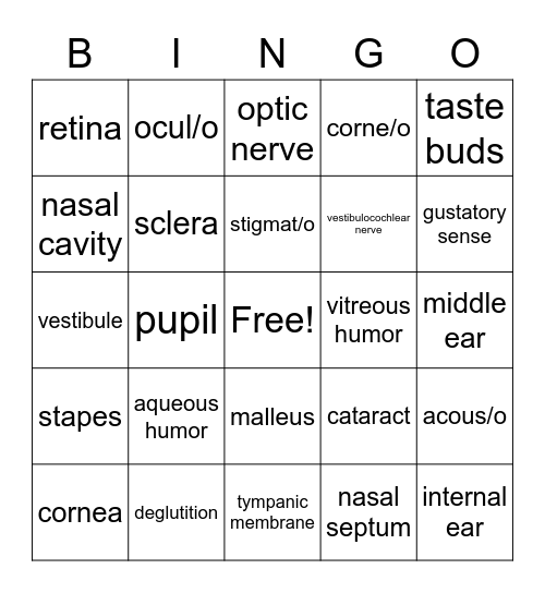 Med Term Chapter Special Senses Bingo Card