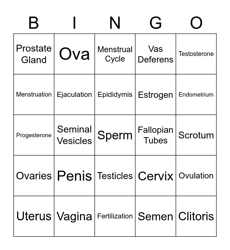 Reproductive Bingo Card