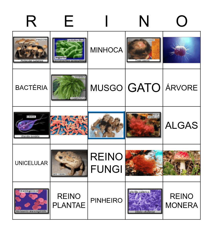 BINGO 5 REINOS Bingo Card