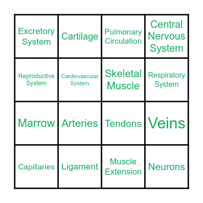 Related Bingo Cards