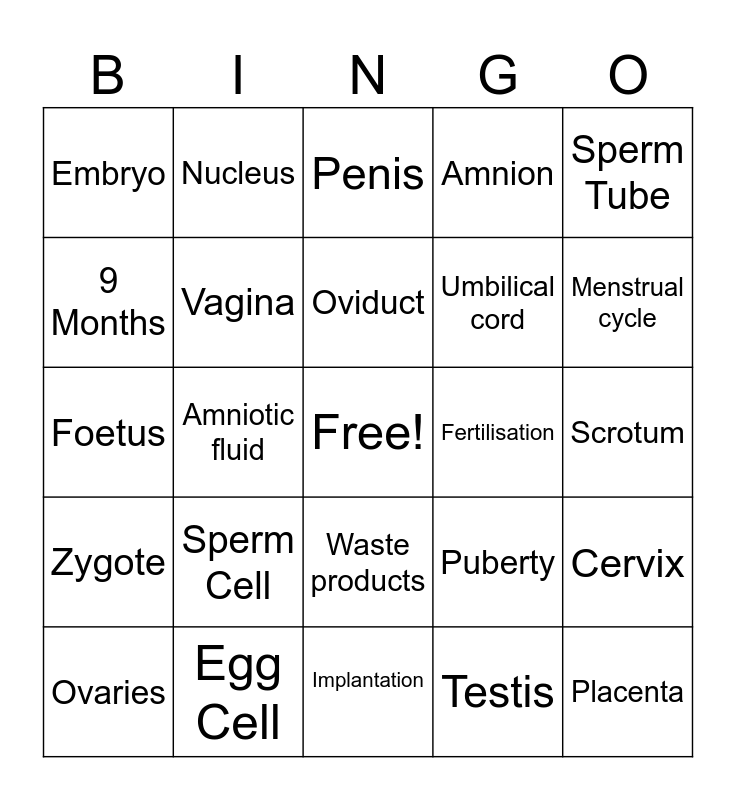 Human Reproduction Bingo Card