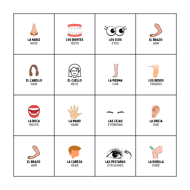 Partes Del Cuerpo Bingo Card