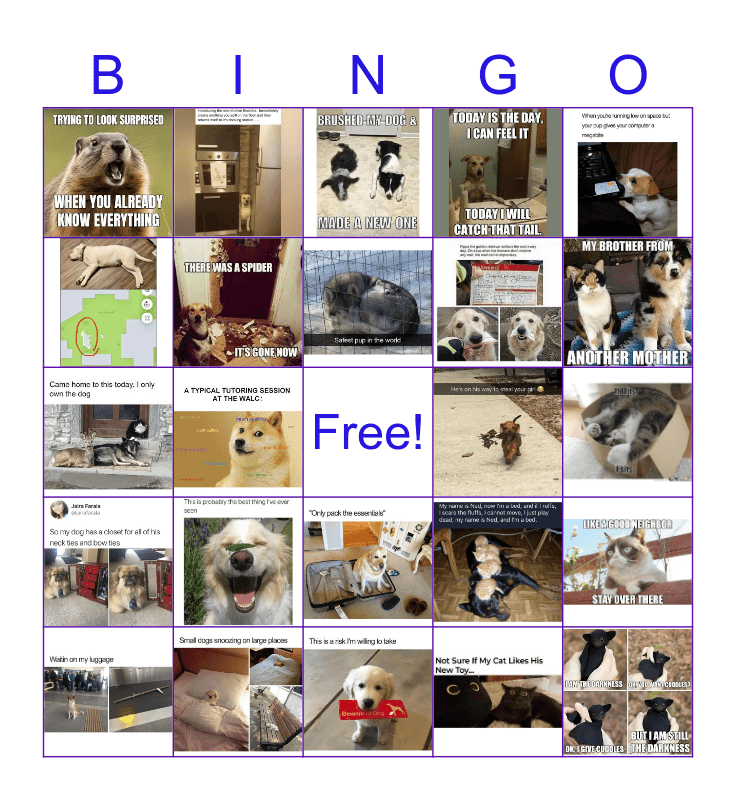 Tutoring Center Bingo Card