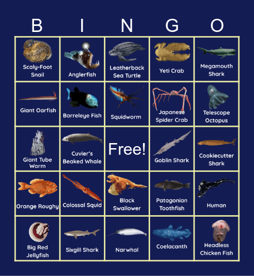 Deep Sea Bingo Card