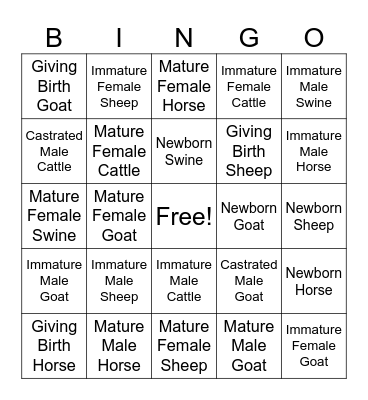 Animal Terminology Bingo Card