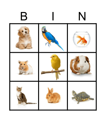 PETS Bingo Card