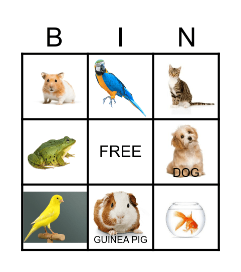 PETS Bingo Card