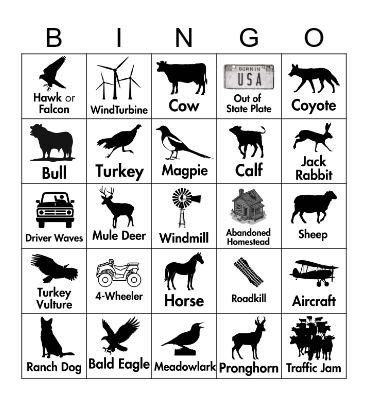 Carter County Road Bingo Card