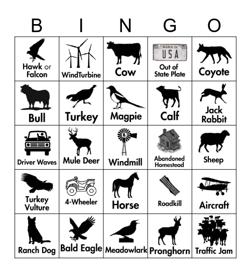 Carter County Road Bingo Card