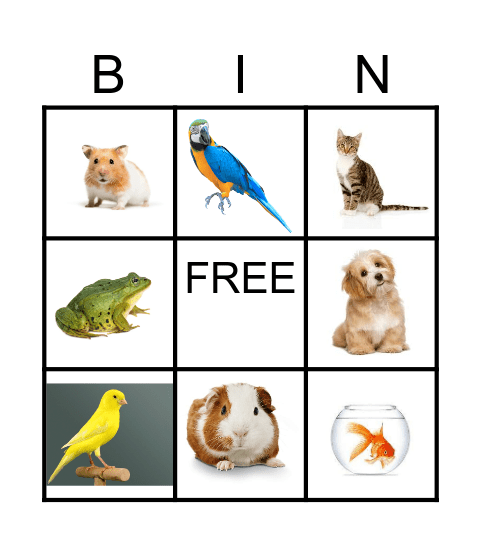 PETS Bingo Card