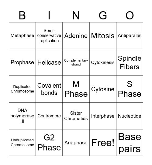DNA Structure, Replication, & Cell Cycle Bingo Card