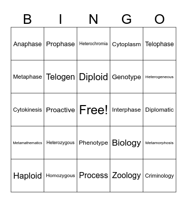 Science Vocab Challenge Bingo Card