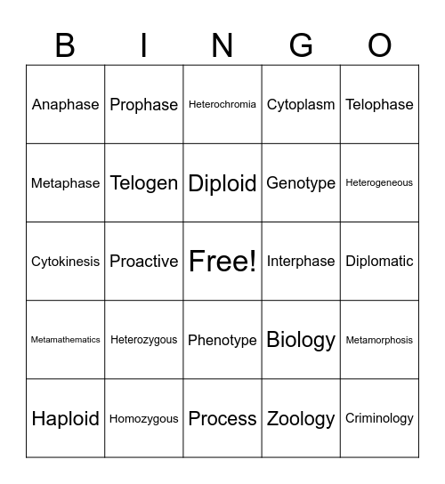 Science Vocab Challenge Bingo Card