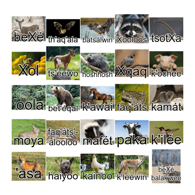 ts'elith! Bingo Card