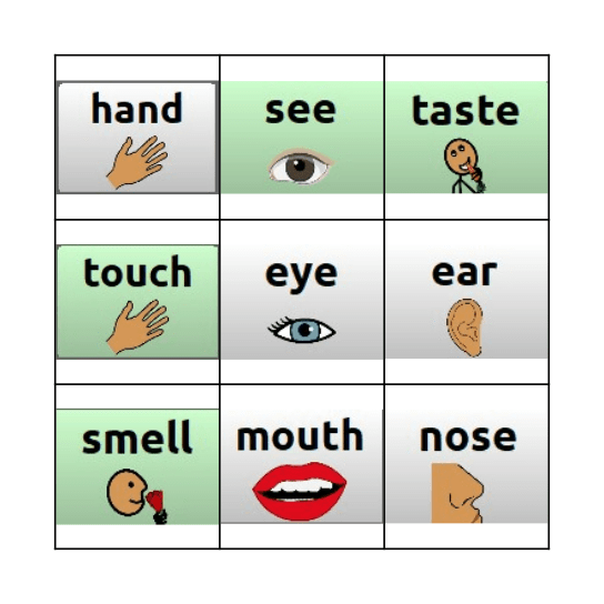 5 Senses BINGO Card
