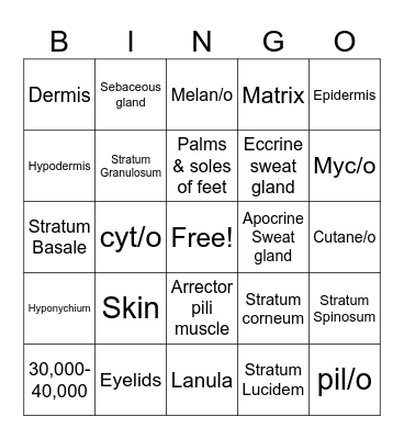 Integumentary system Bingo Card