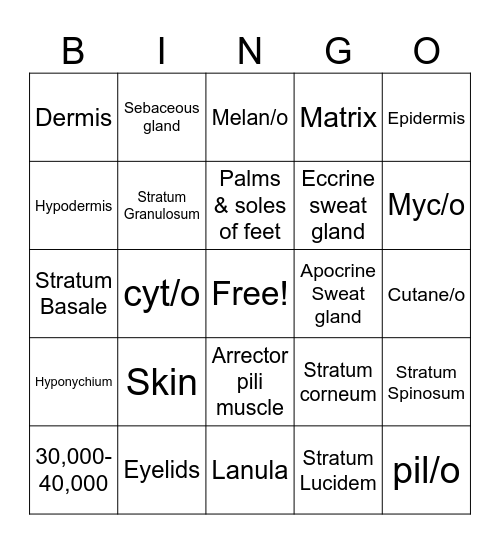 Integumentary system Bingo Card