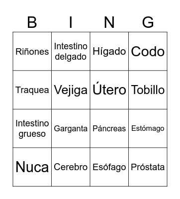 Órganos y partes del cuerpo Bingo Card