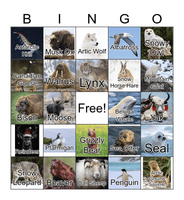 Winter Animals Bingo Card