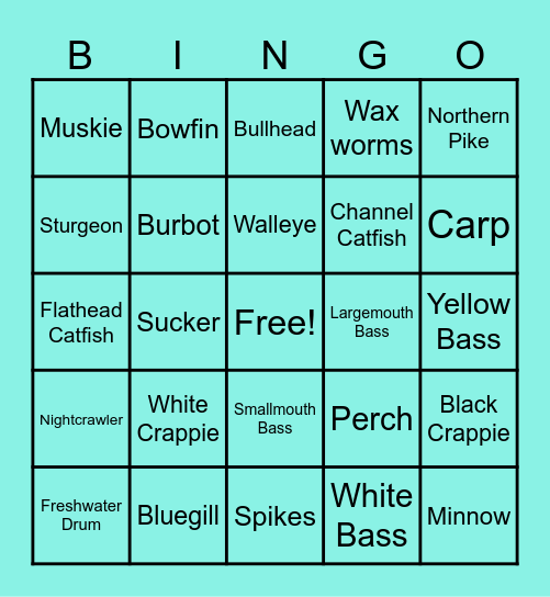 WAM South Central Mn Bingo Card