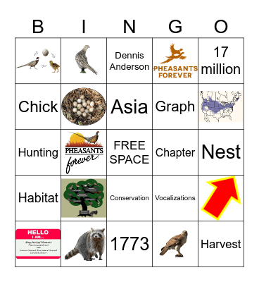 Pheasants Forever Bingo Card
