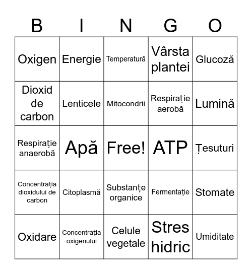 Respirația la plante Bingo Card