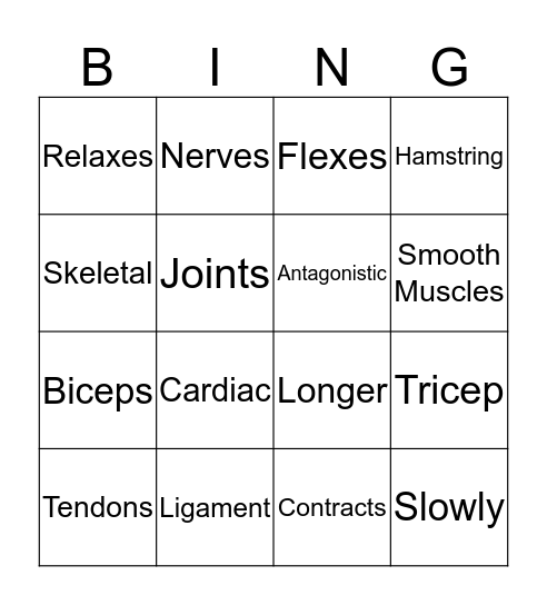 Muscles Bingo Card