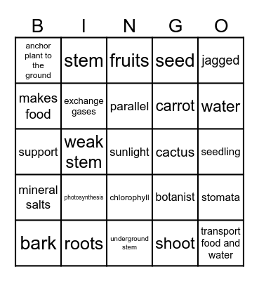 Plant Bingo Card