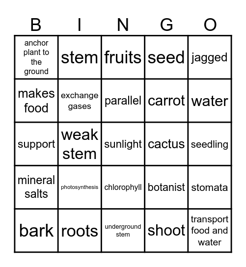 Plant Bingo Card