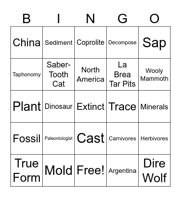 FOSSILS Bingo Card