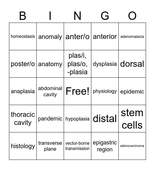 HIMT 1300 Chapter 2 Bingo Card