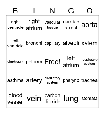Circulatory and Respiratory System Bingo Card