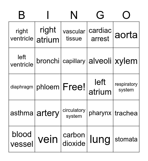 Circulatory and Respiratory System Bingo Card