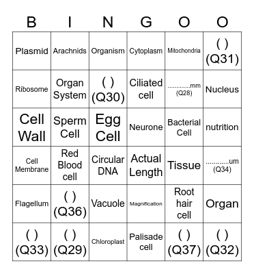 Chapter 2 Y10K Bingo Card