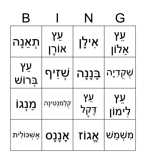 בִּינגוֹ ט"ו בִּשְבָט Bingo Card