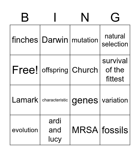 evolution Bingo Card