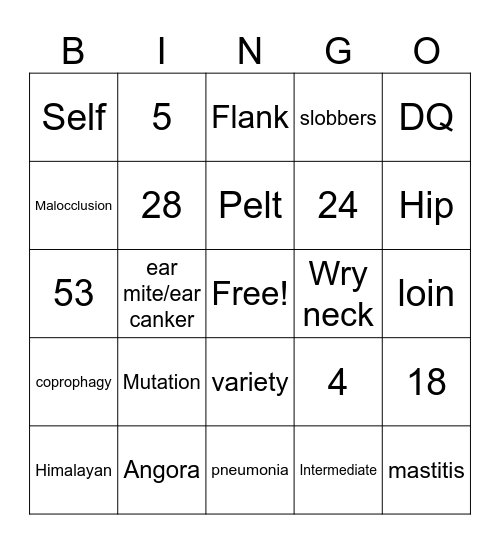 General Rabbit Bingo Card