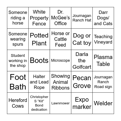Darr Bingo Card