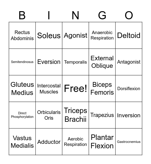 Muscles Bingo Card