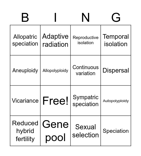 SI session #4 Bingo Card
