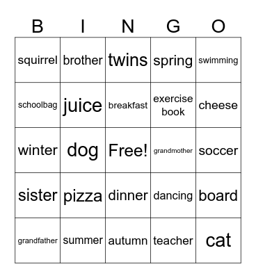 vocabulary themes 1 to 3 Bingo Card