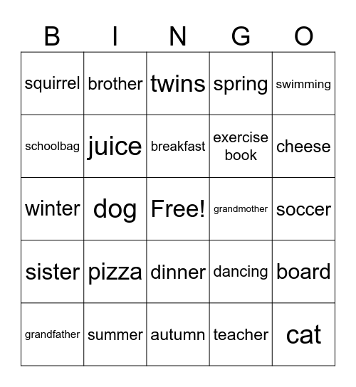 vocabulary themes 1 to 3 Bingo Card