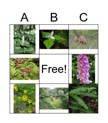 Enviro Plant Scavenger Hunt Bingo Card