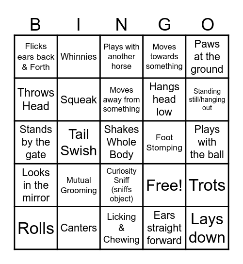 Horse Behavior Bingo - How many behaviors can you spot? Mark them off as you see them! Bingo Card