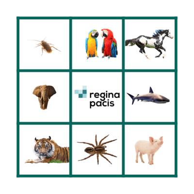 ANIMALS BINGO Card