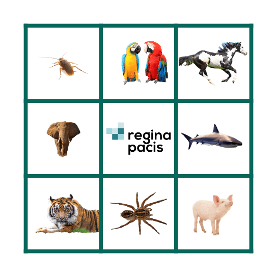 ANIMALS BINGO Card