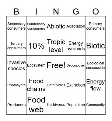 Food chains&webs Bingo Card