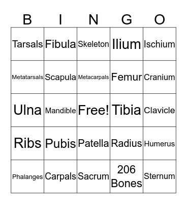 Skeletal System Bingo Card
